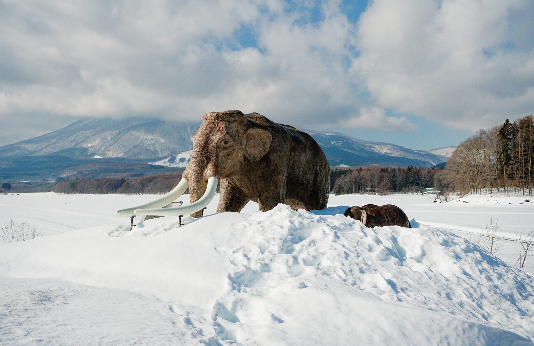 黒姫山を背景に雪原に佇むナウマンゾウの親子の像