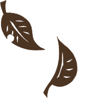 落ち葉のイラスト