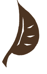 落ち葉のイラスト