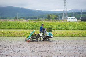 【新規就農】未経験から農家になり、長野に移住して14年が経ちました