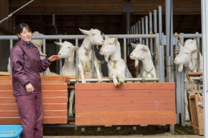 私の場合、信濃町では人よりもヤギと会う数の方が多いんですよね