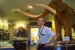 ナウマンゾウ研究の先にあるのは「人類が生き抜くヒント」その答えを子どもたちに託したい