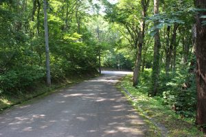 【町有地】　野尻湖周辺の自然に囲まれた別荘地Z-7のサムネイル
