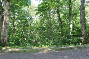 【町有地】　野尻湖周辺の自然に囲まれた別荘地Z-7のイメージ