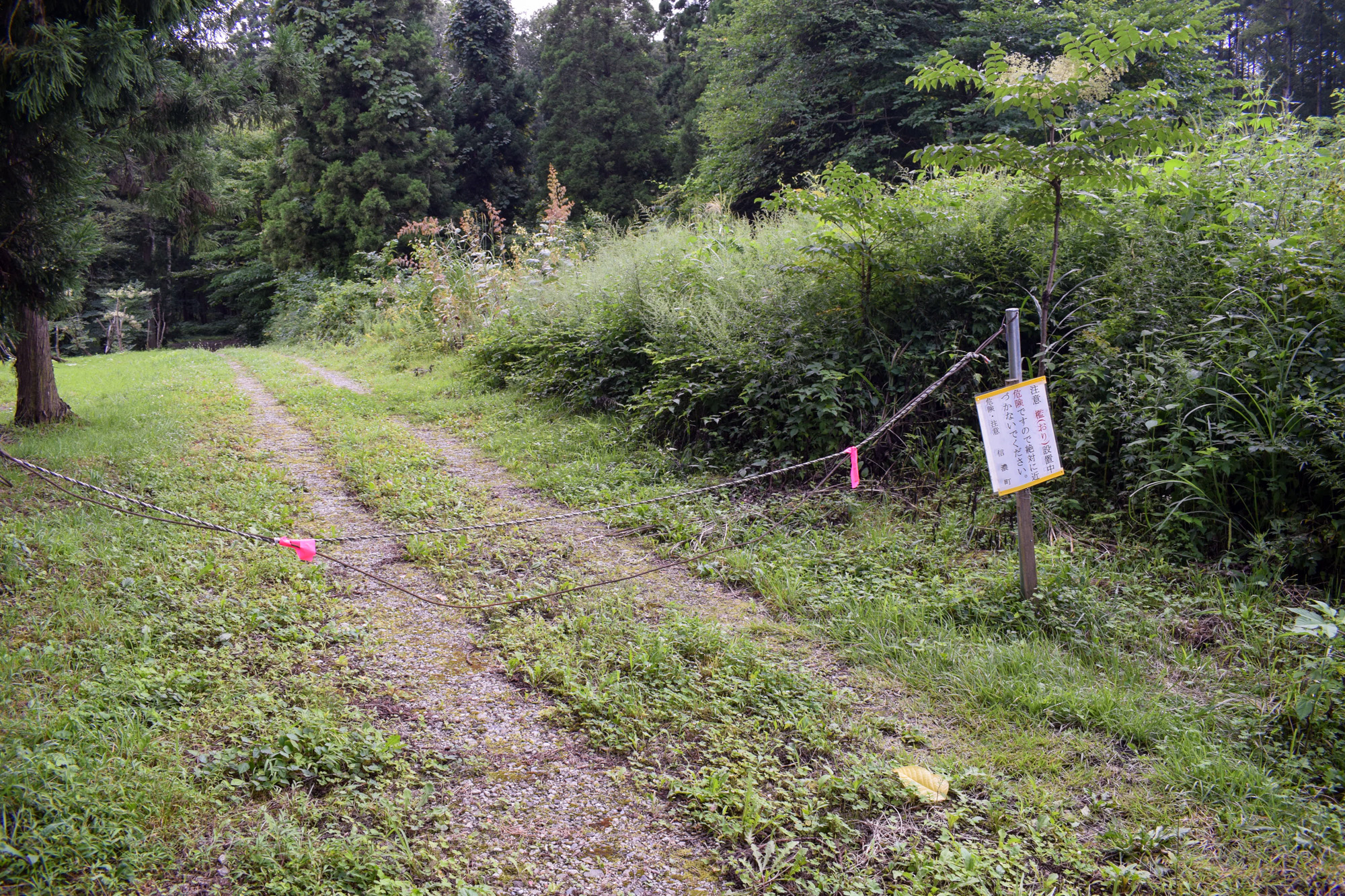 入口(ロープ部分）から280m奥が対象土地です