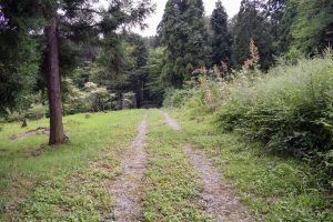 開けた森の中の広大な土地☆大井【土地ｰ4】のサムネイル