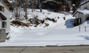 主要施設へのアクセス抜群！な土地☆柏原【土地ｰ3】のイメージ