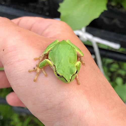 宮のプロフィール写真