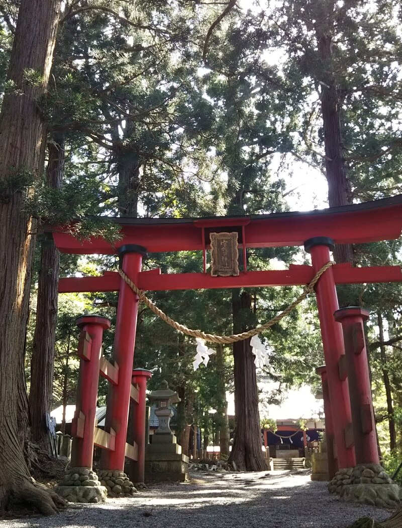 長野県信濃町野尻湖の宇賀神社、参道の鳥居