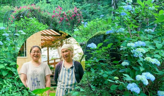 信濃町ランチ 季節の花々と信濃町の自然を堪能できる 黒姫食堂 ここでしか味わえない特別な時間 ありえない いなかまち 長野県信濃町の移住者支援サイト