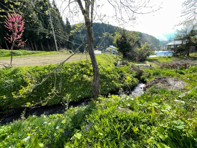 のどかな地域です♪