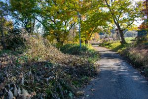 長水エリア♪町道に面した山林！☆柏原【土地-14】のイメージ