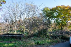 長水エリア♪町道に面した山林！☆柏原【土地-14】のサムネイル