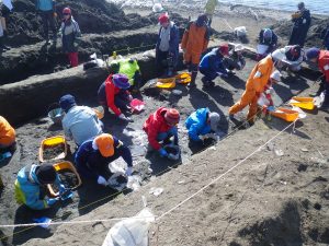 3月に野尻湖の湖底でナウマンゾウの化石を掘る！？野尻湖発掘について取材しました