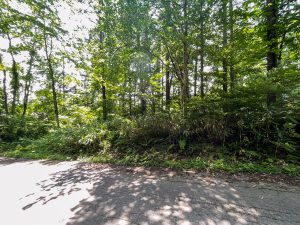 【黒姫保養地】黒姫高原スノーパークまで3km！接道良好な原野☆柏原 黒姫山【土地-17】のイメージ