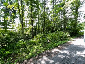 【黒姫保養地】黒姫高原スノーパークまで3km！接道良好な原野☆柏原 黒姫山【土地-17】のサムネイル