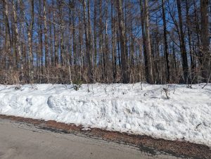 【黒姫保養地】雄大な山々を間近に☆野尻 黒姫山【土地-20】のサムネイル