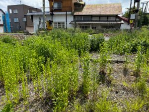 学校・商業施設徒歩圏内の土地♪更地渡し☆古間【土地-23】のサムネイル