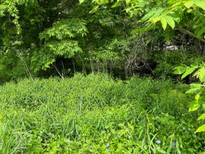 学校・商業施設徒歩圏内の土地♪更地渡し☆古間【土地-23】のサムネイル