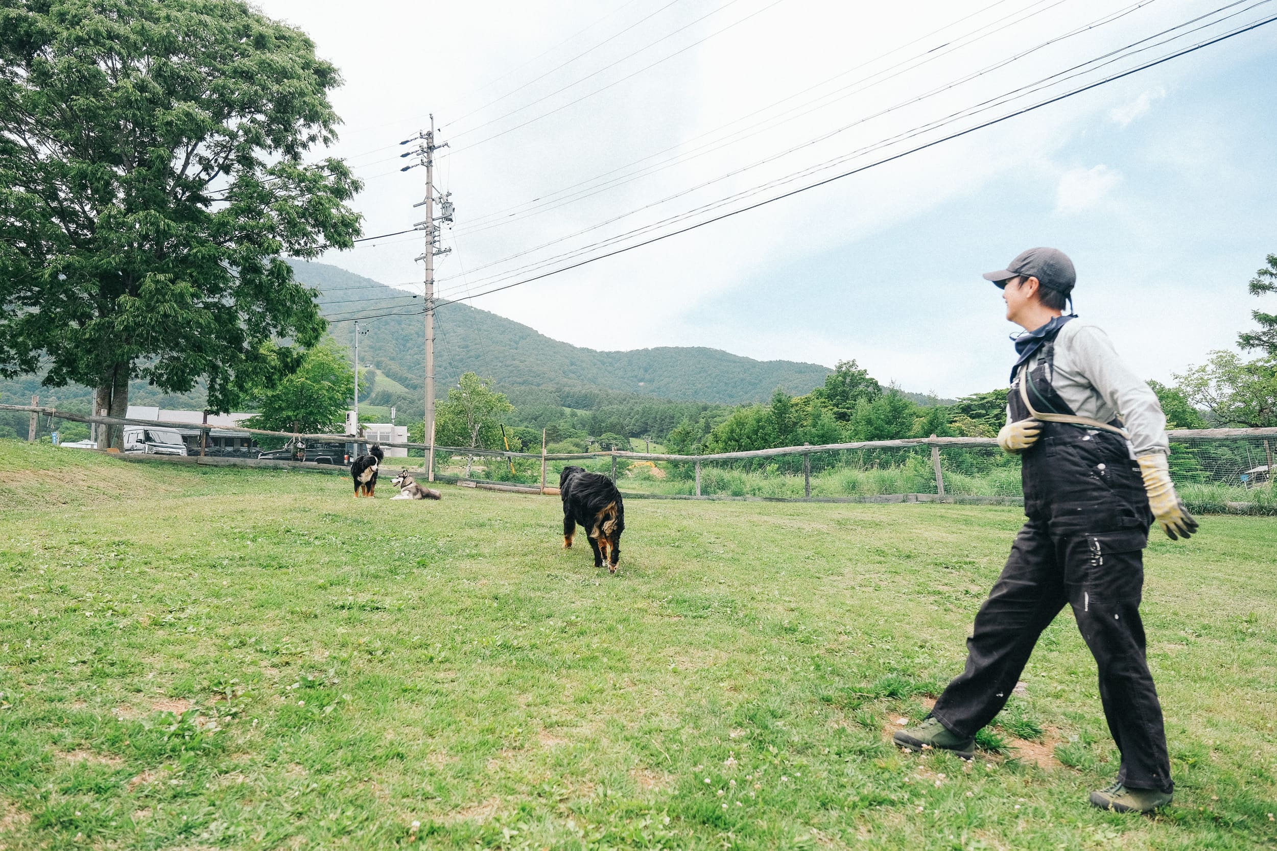 地元愛とボランティア精神が支える、無料の黒姫高原ドッグラン