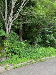 憧れのリゾートすぐ隣の別荘地♪ ☆古海【土地-29】のサムネイル