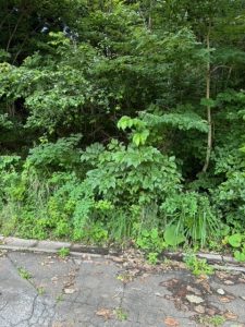 憧れのリゾートすぐ隣の別荘地♪ ☆古海【土地-29】のサムネイル