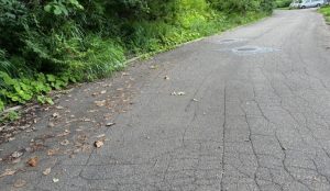 憧れのリゾートすぐ隣の別荘地♪ ☆古海【土地-29】