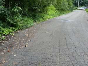 憧れのリゾートすぐ隣の別荘地♪ ☆古海【土地-29】のイメージ