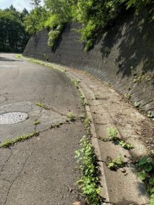 憧れのリゾートすぐ隣の別荘地♪ ☆古海【土地-29】のサムネイル