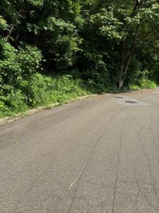 憧れのリゾートすぐ隣の別荘地♪ ☆古海【土地-29】のサムネイル