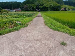開けた田園地帯で広い空を味わう土地♪ ☆富濃 船岳【土地-31】のサムネイル
