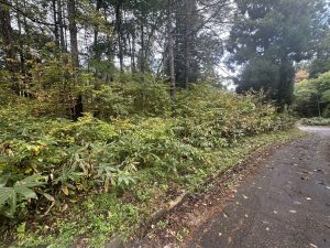 【黒姫保養地】黒姫山の登山口に近くで森に囲まれた生活を♪ ☆柏原 黒姫山【土地-32】のイメージ