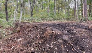 美しい山並みを眺めながら森と湖の自然を楽しむ事のできる立地♪☆柏原 黒姫山【土地-48】