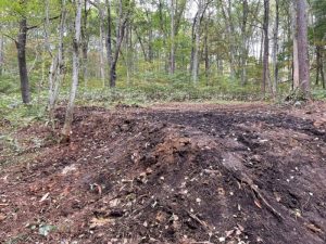 【黒姫保養地】美しい山並みを眺めながら森と湖の自然を楽しむ事のできる立地♪☆柏原 黒姫山【土地-48】のイメージ