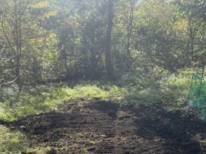 【黒姫保養地】美しい山並みを眺めながら森と湖の自然を楽しむ事のできる立地♪☆柏原 黒姫山【土地-48】のサムネイル