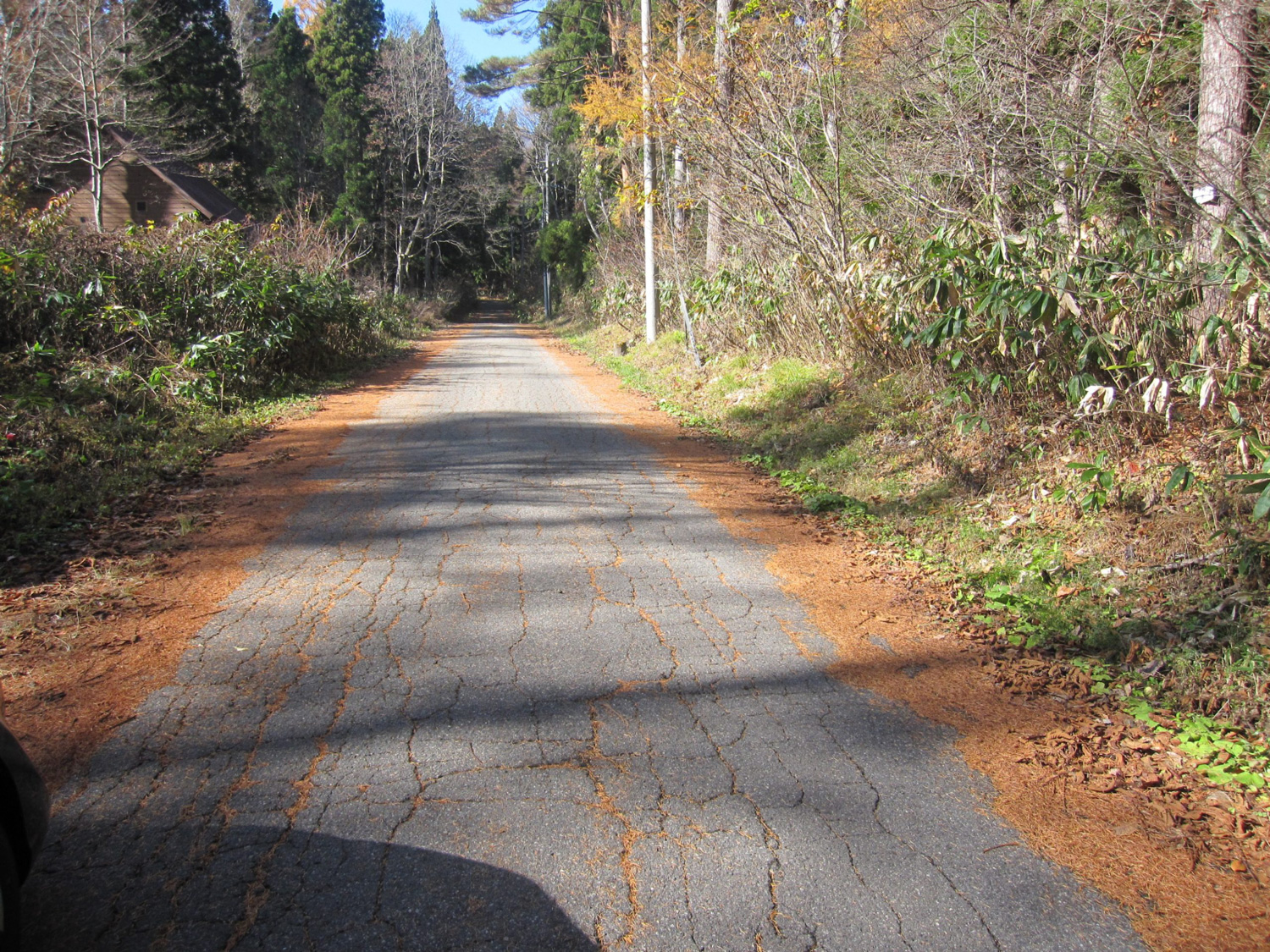 接道道路