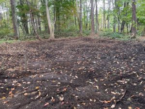 【黒姫保養地】美しい山並みを眺めながら森と湖の自然を楽しむ事のできる立地♪☆柏原 黒姫山【土地-48】のサムネイル