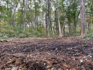 【黒姫保養地】美しい山並みを眺めながら森と湖の自然を楽しむ事のできる立地♪☆柏原 黒姫山【土地-48】のサムネイル