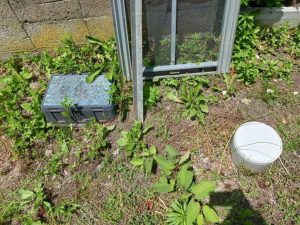 黒姫駅から徒歩約8分♪宅地と畑の2筆☆柏原【土地-26】のサムネイル