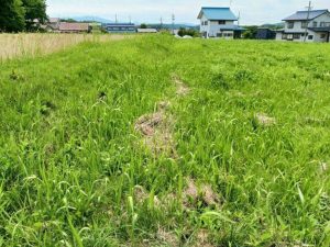 黒姫駅から徒歩約8分♪宅地と畑の2筆☆柏原【土地-26】のサムネイル