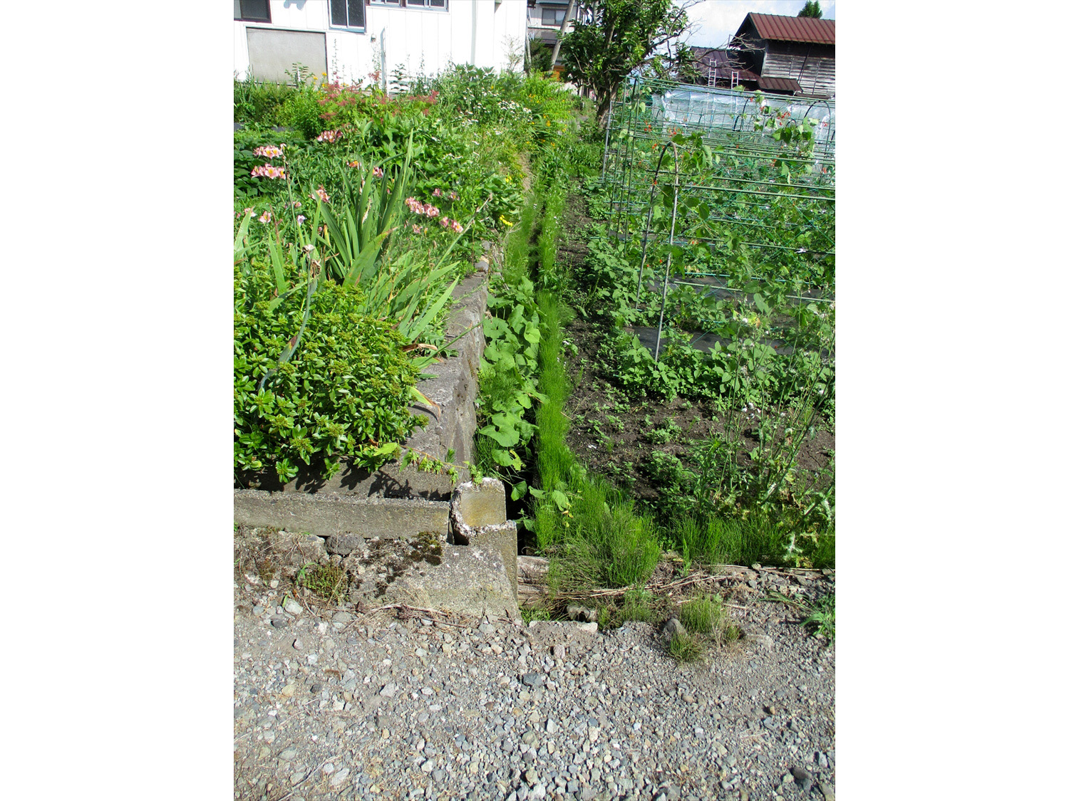 用悪水路
