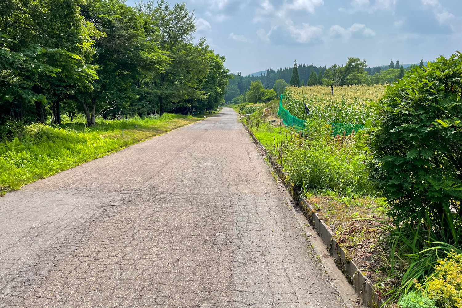 前面道路