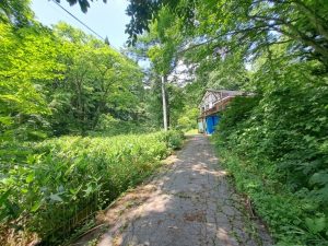 【黒姫保養地】黒姫山表登山口まで800m！黒姫高原スノーパークまで3km☆野尻 黒姫山【土地-47】のサムネイル