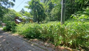 【黒姫保養地】黒姫山表登山口まで800m！黒姫高原スノーパークまで3km☆野尻 黒姫山【土地-47】