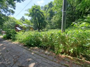 【黒姫保養地】黒姫山表登山口まで800m！黒姫高原スノーパークまで3km☆野尻 黒姫山【土地-47】のイメージ