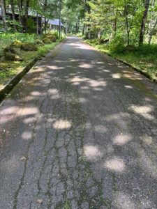前面道路