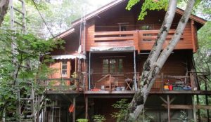 豊かな植生で四季を感じる広々3階建て物件☆柏原【No.365】