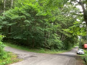 【黒姫保養地】1筆353坪の土地！並びの2区画（同時購入可）♪信濃町I.Cから約3kmの定住者が多いエリア☆野尻 黒姫山【土地-57】のサムネイル