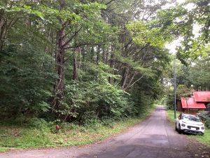 【黒姫保養地】1筆353坪の土地！並びの2区画（同時購入可）♪信濃町I.Cから約3kmの定住者が多いエリア☆野尻 黒姫山【土地-57】のサムネイル