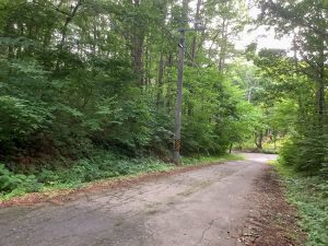 【黒姫保養地】1筆353坪の土地！並びの2区画（同時購入可）♪信濃町I.Cから約3kmの定住者が多いエリア☆野尻 黒姫山【土地-57】のイメージ